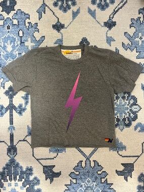 Aviator Nation Gray Purple/pink Lightning Bolt Boyfriend Tee Special Edition